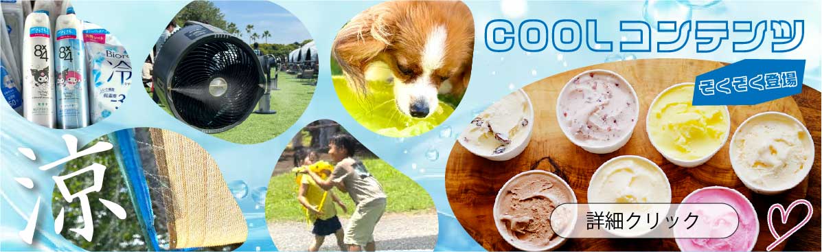 夏季限定のクールダウンコンテンツ続々登場
